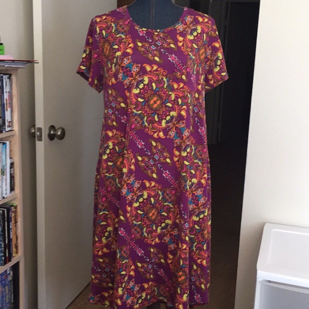LuLaRoe “Carly” tunic dress